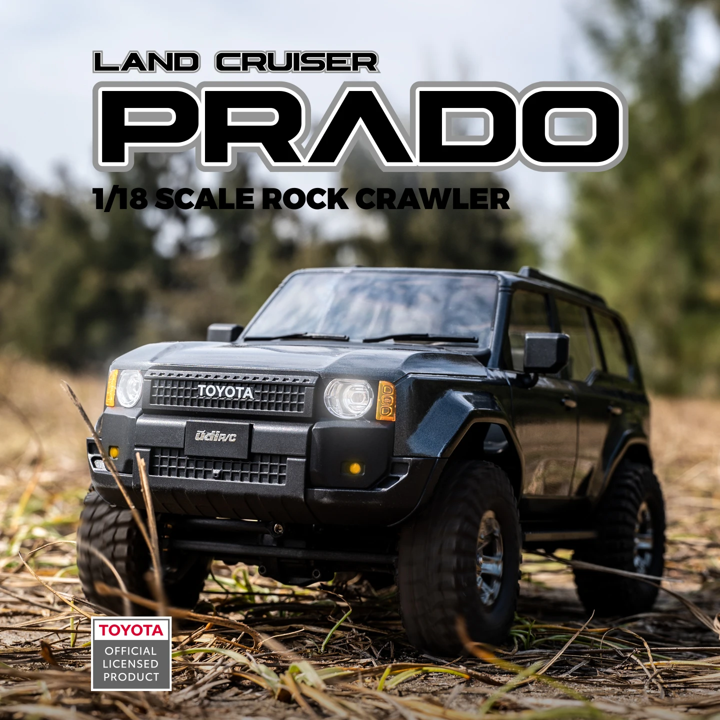UDIRC 1/18 1/24 Rock Crawler 4 - Rc Hobby Grade Truck recensione e prezzo